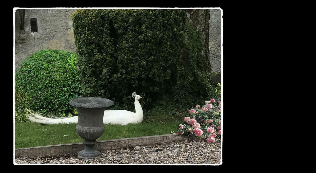 Manoir De Livet Bed & Breakfast Saint-Germain-de-Livet Exterior foto